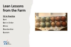 Lean Lessons from the Farm. Carton of eggs that are all diferent colors