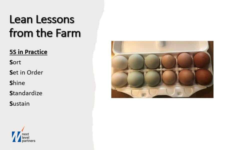 Lean Lessons from the Farm. Carton of eggs that are all diferent colors