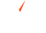 Next Level Partners Logo