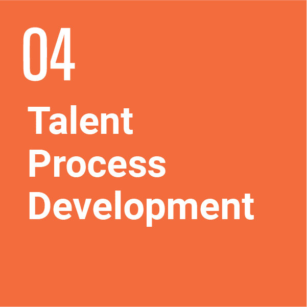 Talent Process Development logo. White text on orange background